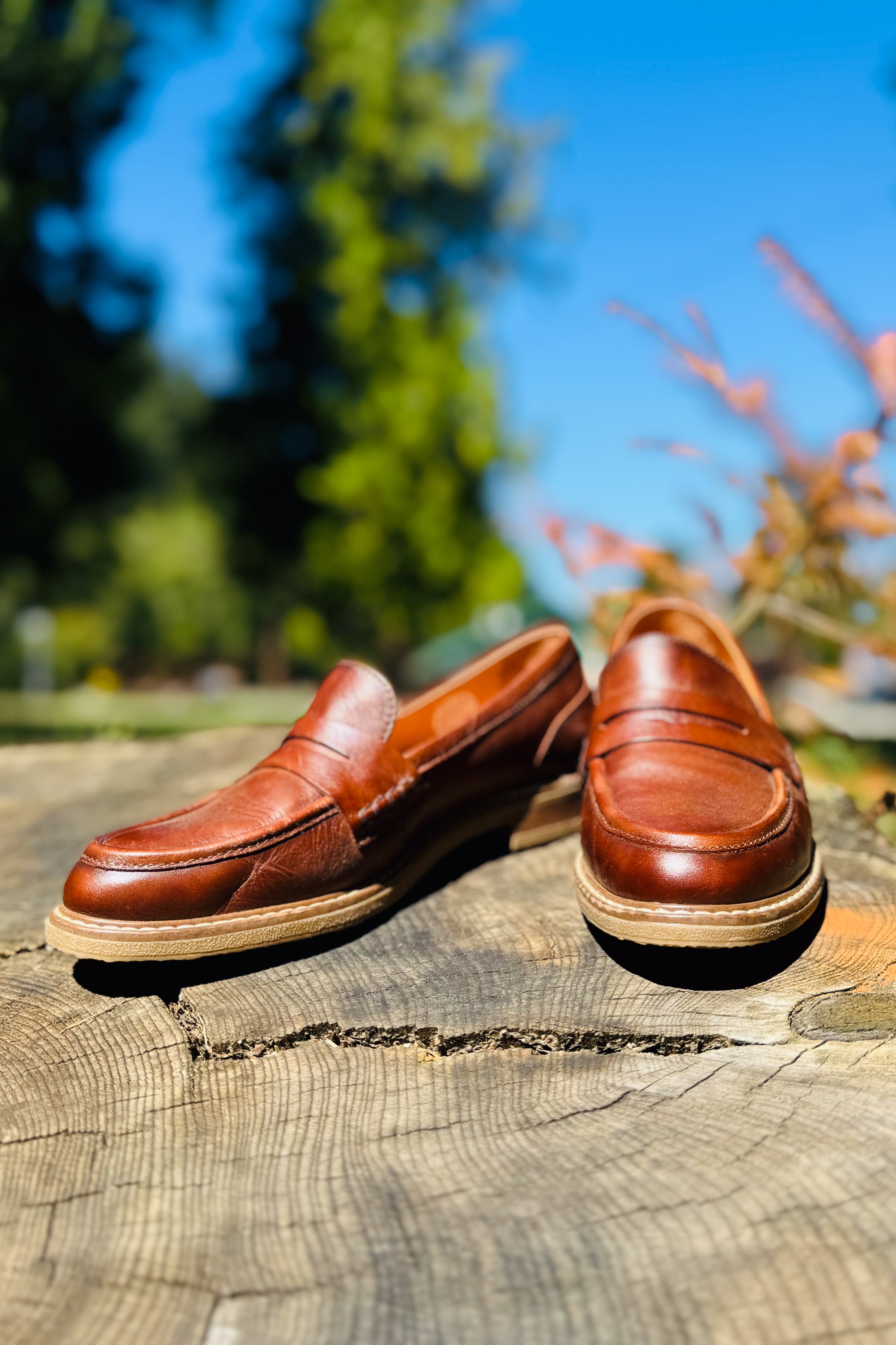 Aldaya Loafer