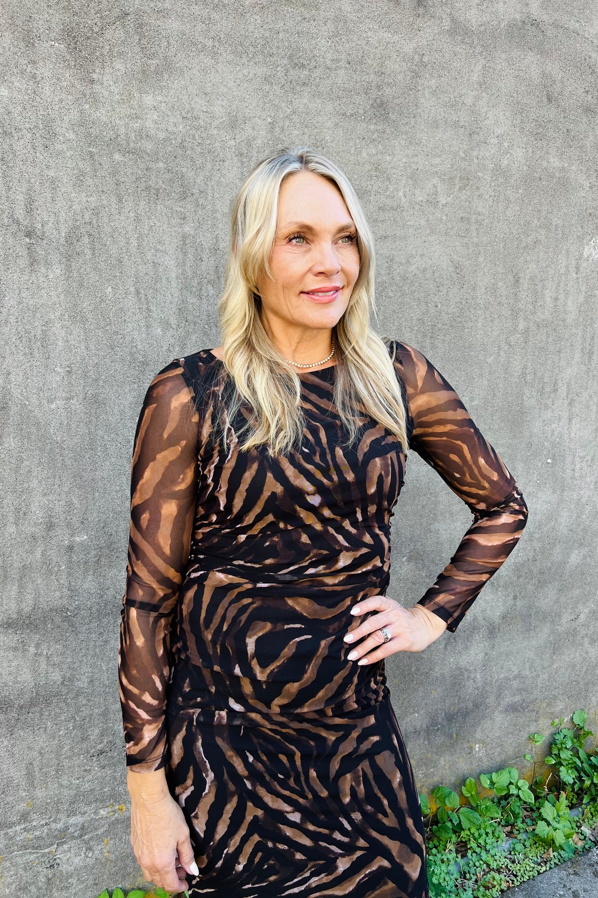 Animal Print Mesh Dress