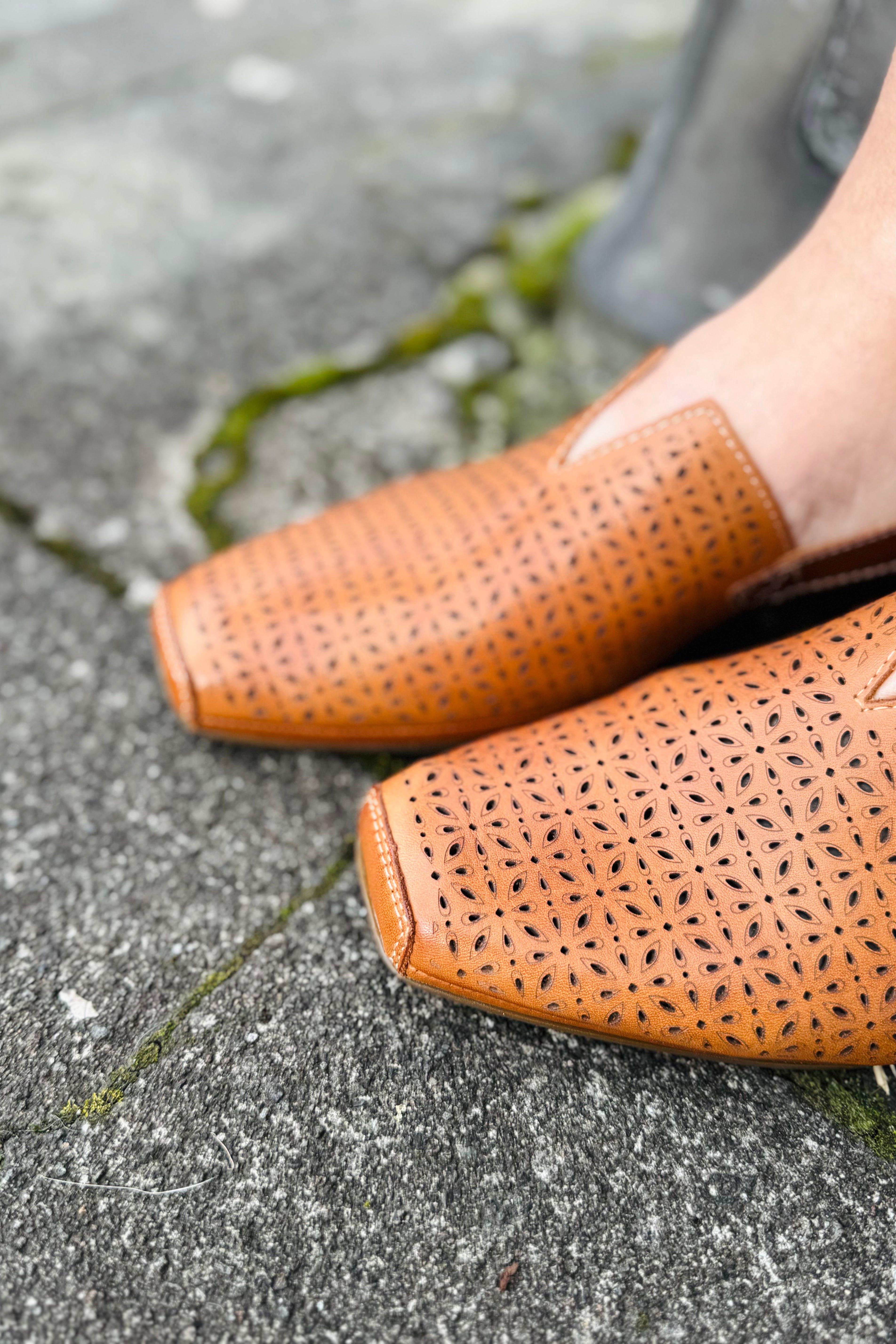 Alameda Shoe