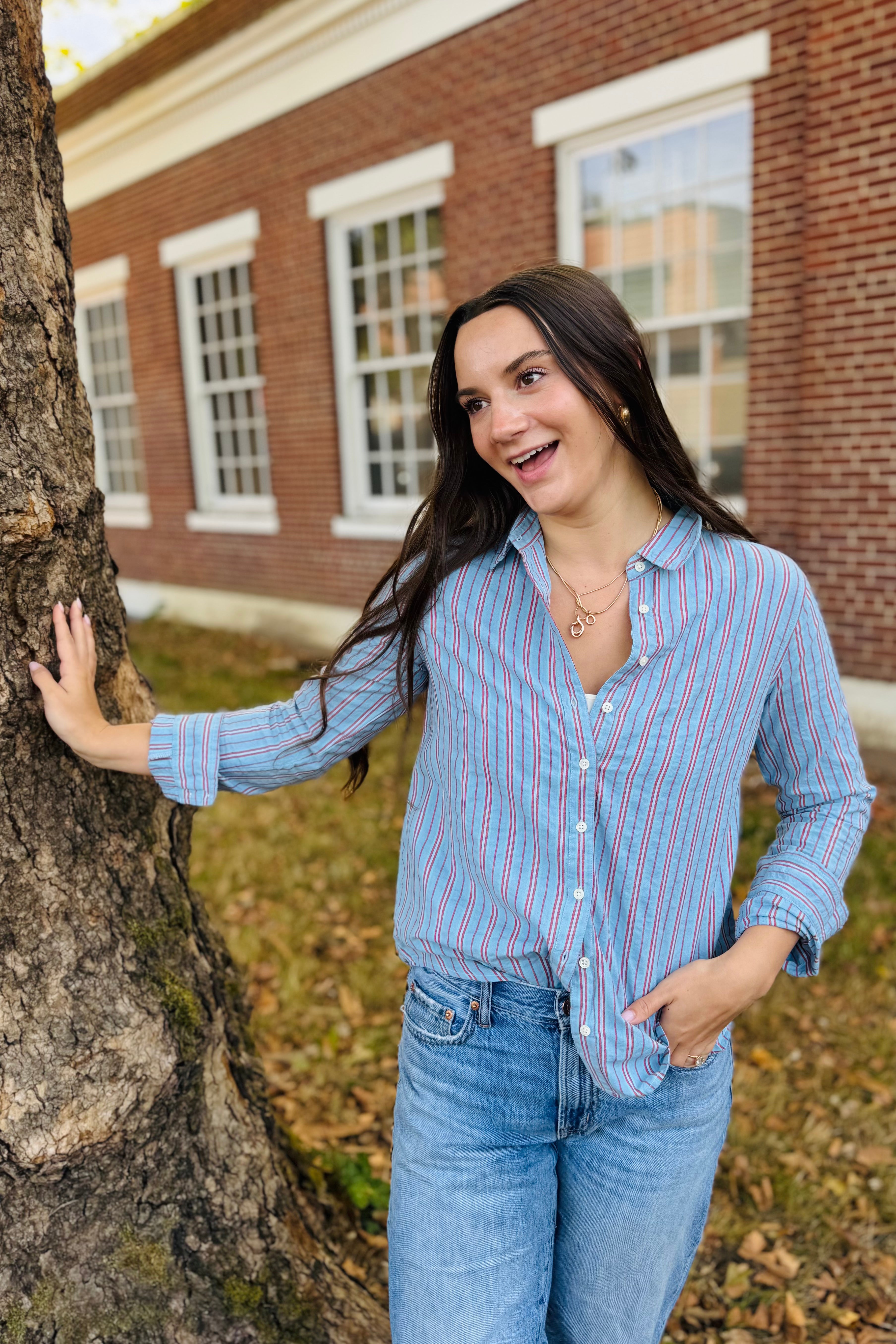 Taylor Stripe Button Up