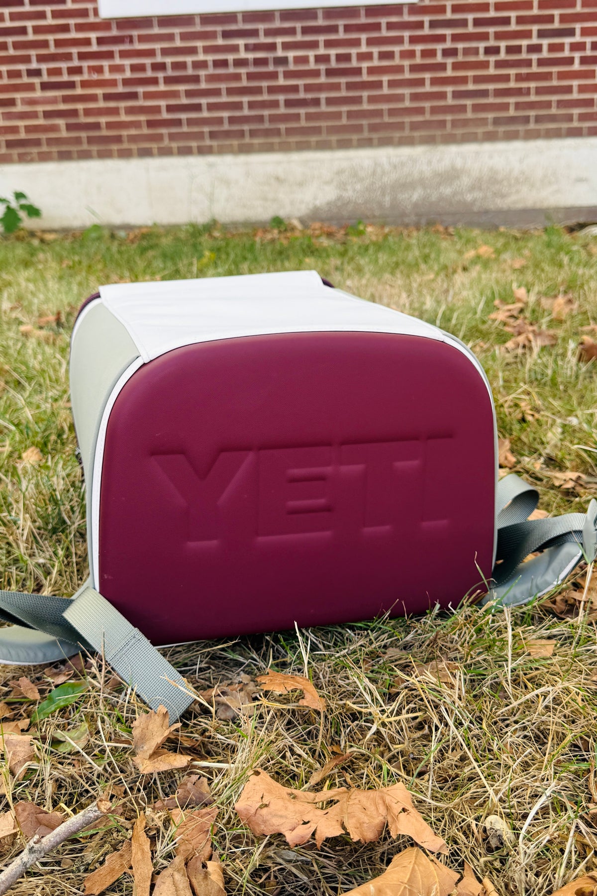 YETI Daytrip 20L Insulated Backpack - Aspen/Pampa/WDV - view 3