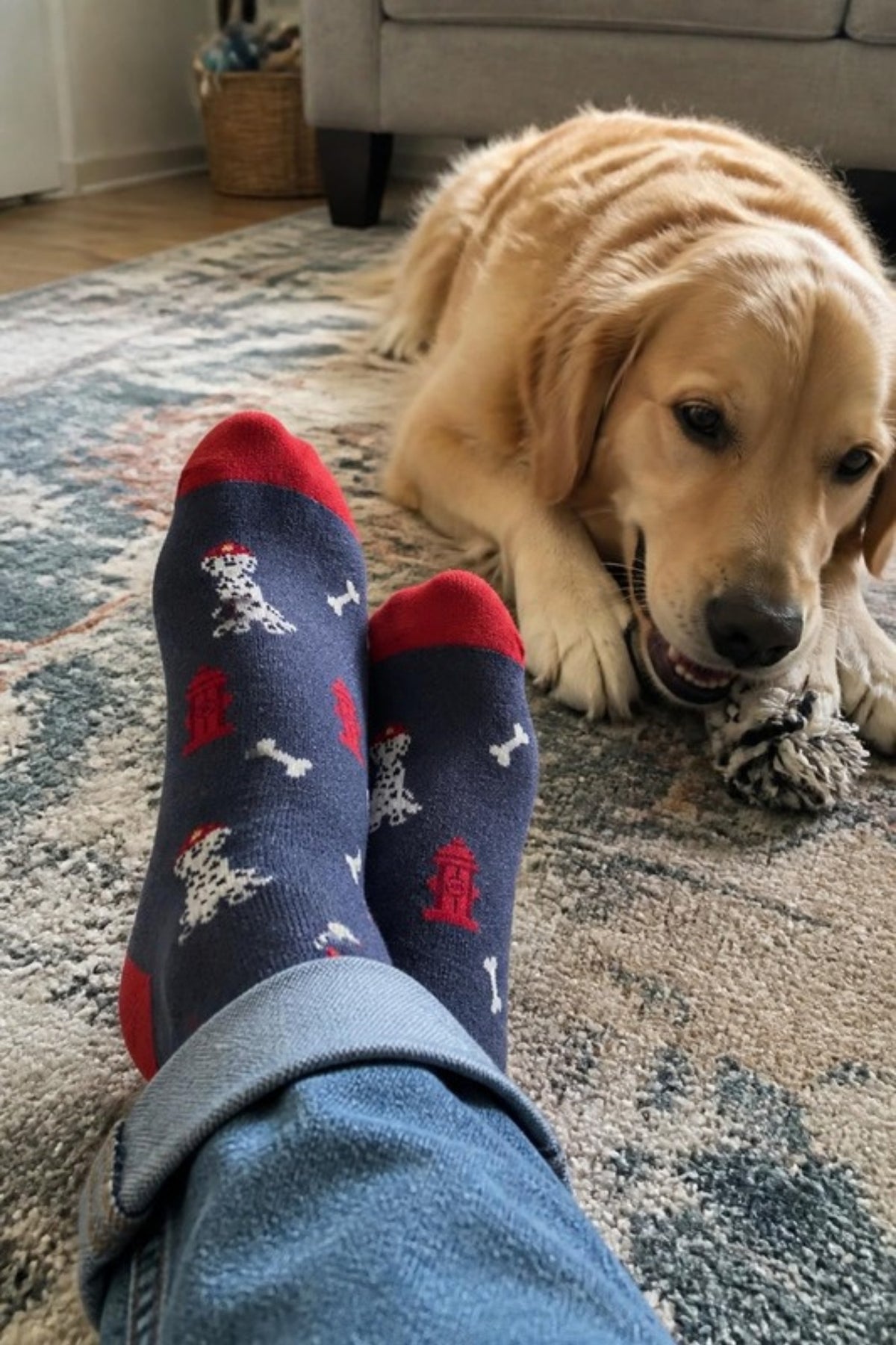 Johnston & Murphy Novelty Dog-Bone Socks worn at home next to a golden retriever, fun Pima cotton dog socks for relaxing at home, casual Fridays and dog lovers, and an easy gift or stocking stuffer