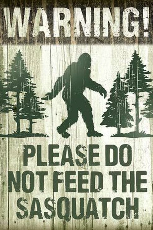 Signs 4 Fun Sasquatch-Don't Feed, eye-catching decor that adds personality to a cabin, game room or backyard