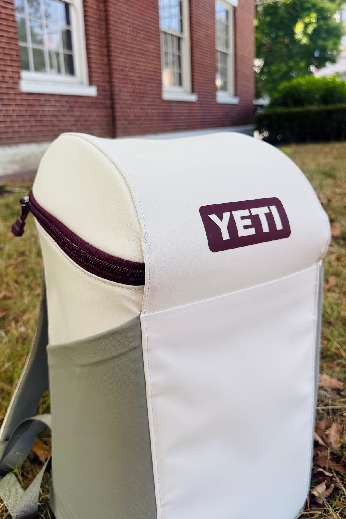 YETI Daytrip 20L Insulated Backpack - Aspen/Pampa/WDV - view 2