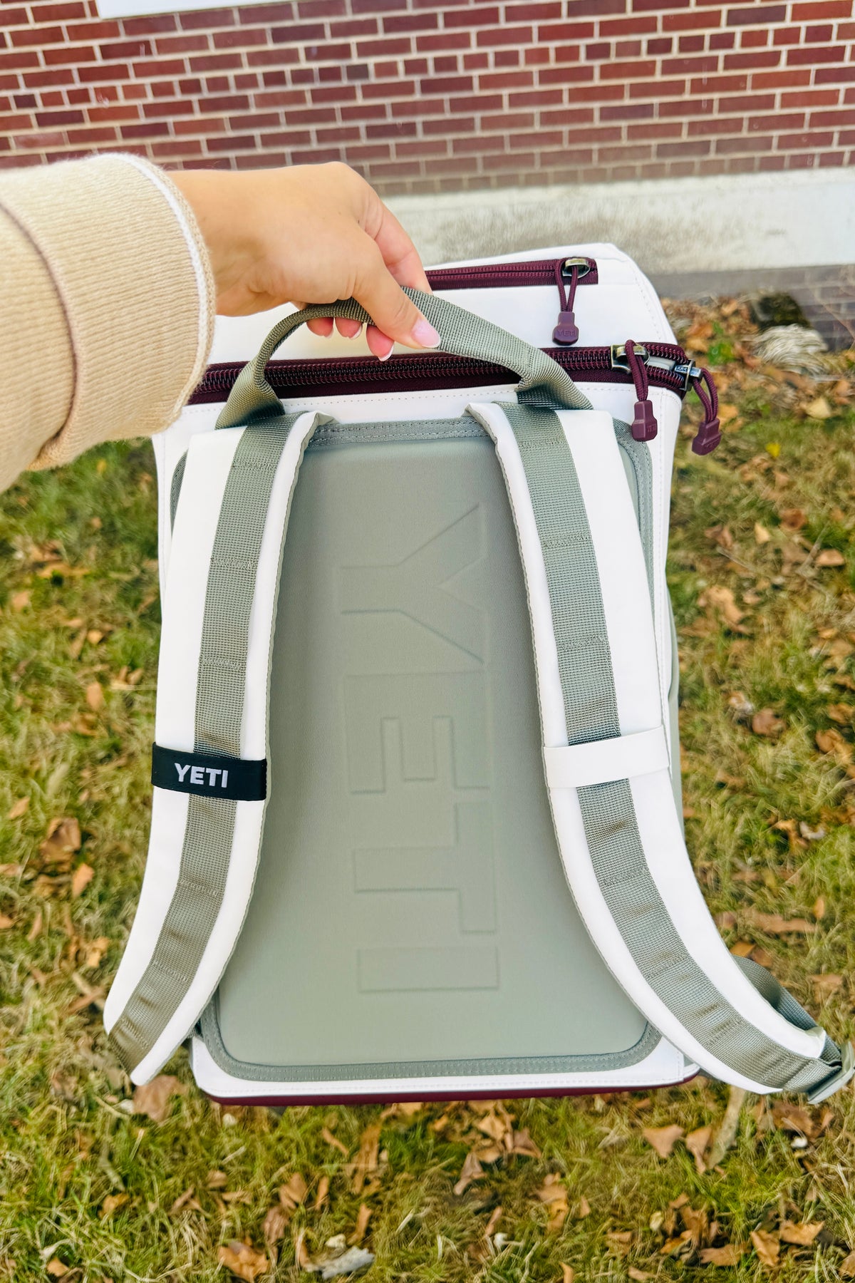 YETI Daytrip 20L Insulated Backpack - Aspen/Pampa/WDV - view 5