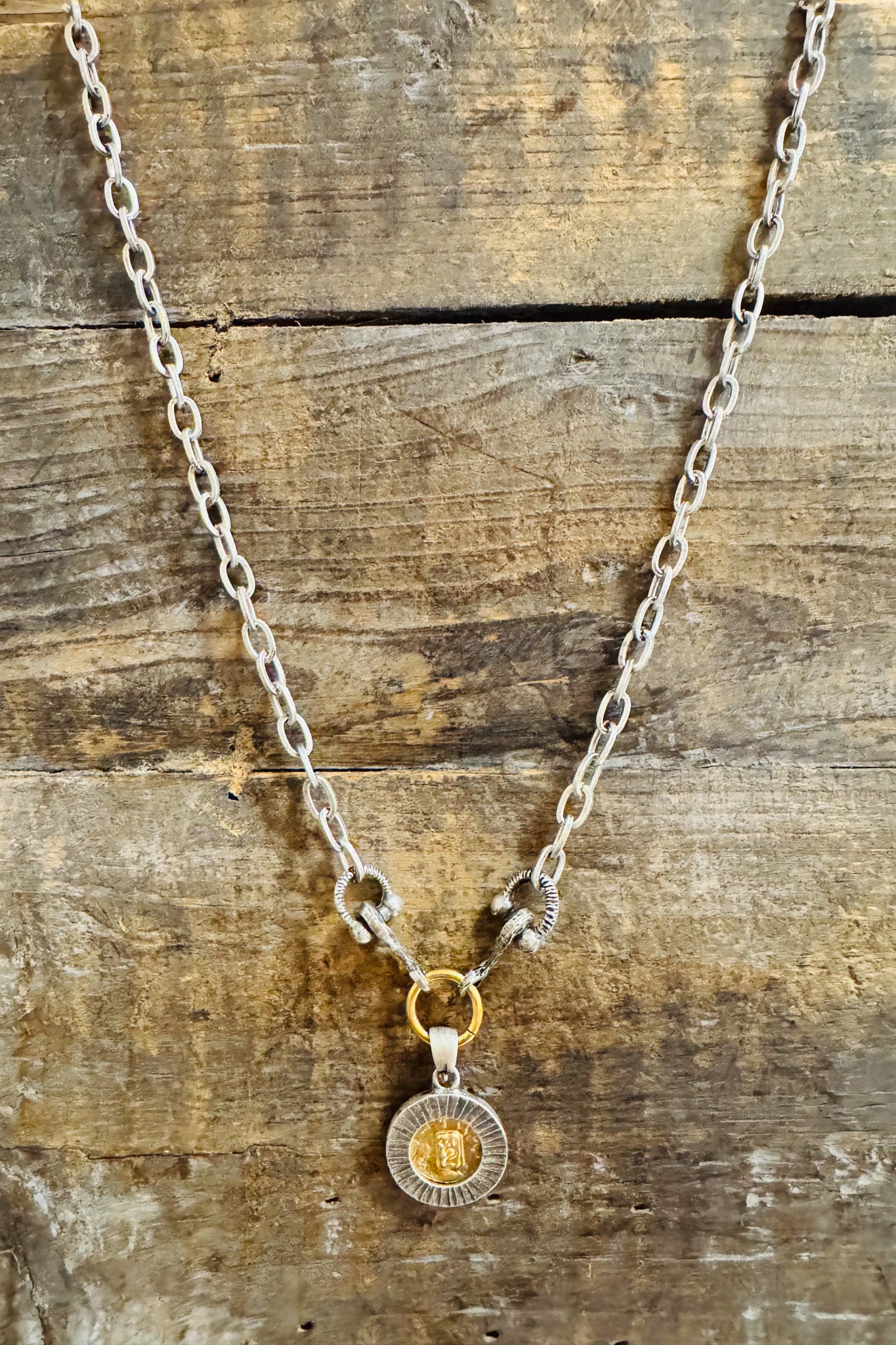 Silver Mini Coin and Horsebit Necklace