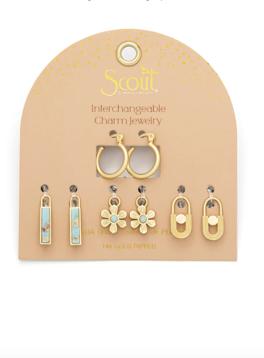 Interchangeable Charm Earrings