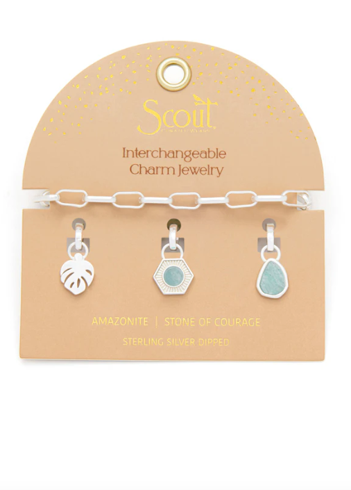 Interchangeable Charm Bracelet