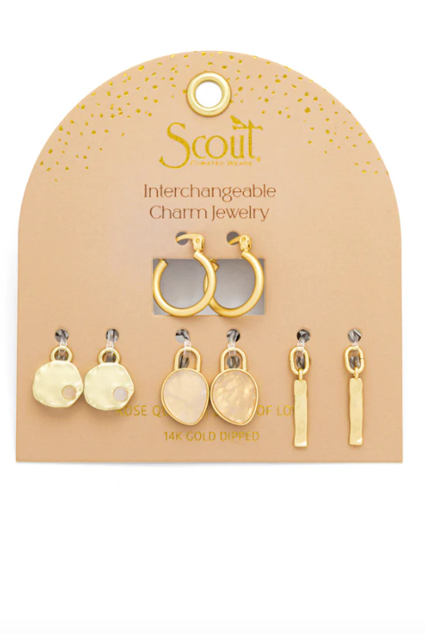 Interchangeable Charm Earrings