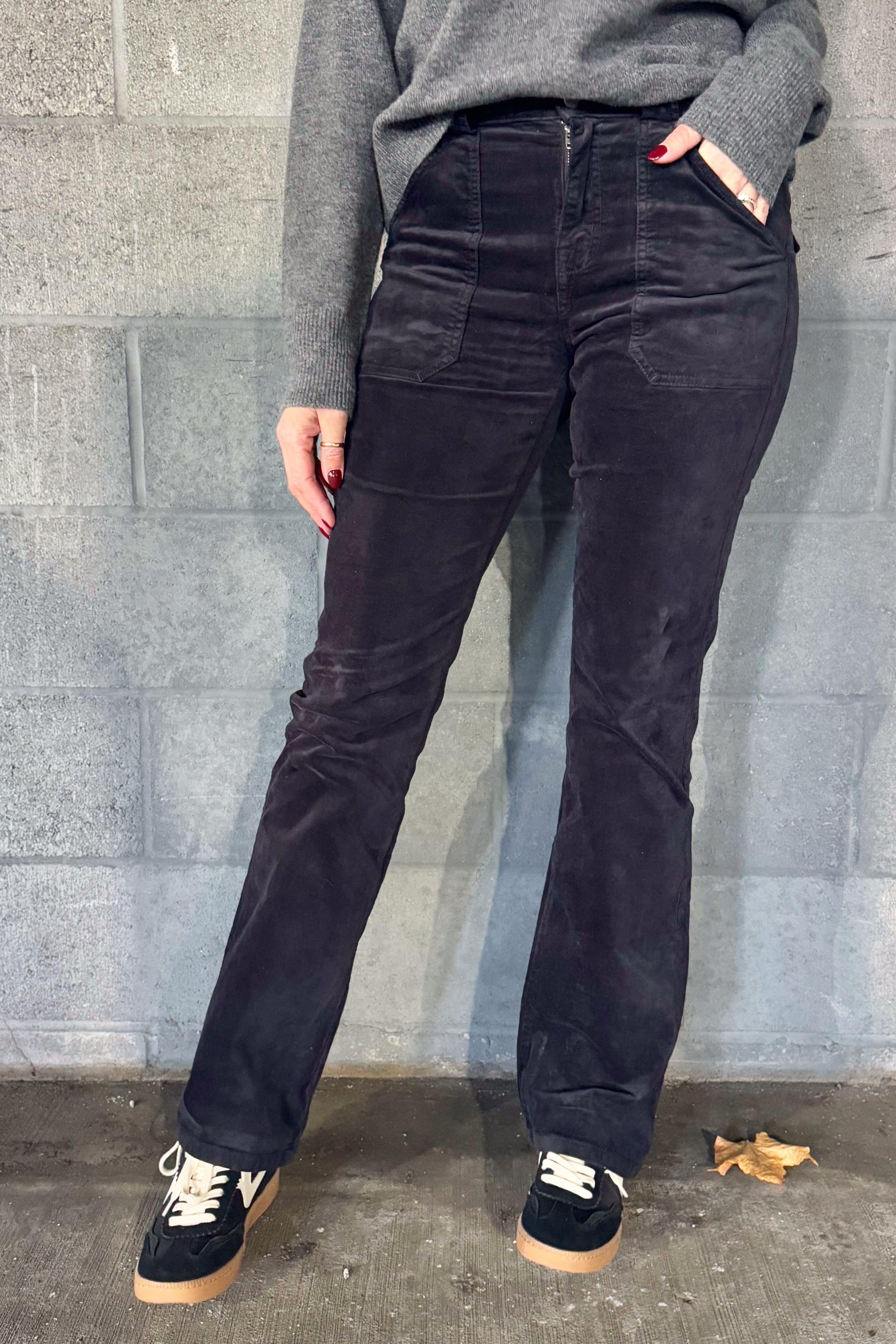 Velveteen Hayden Bootcut