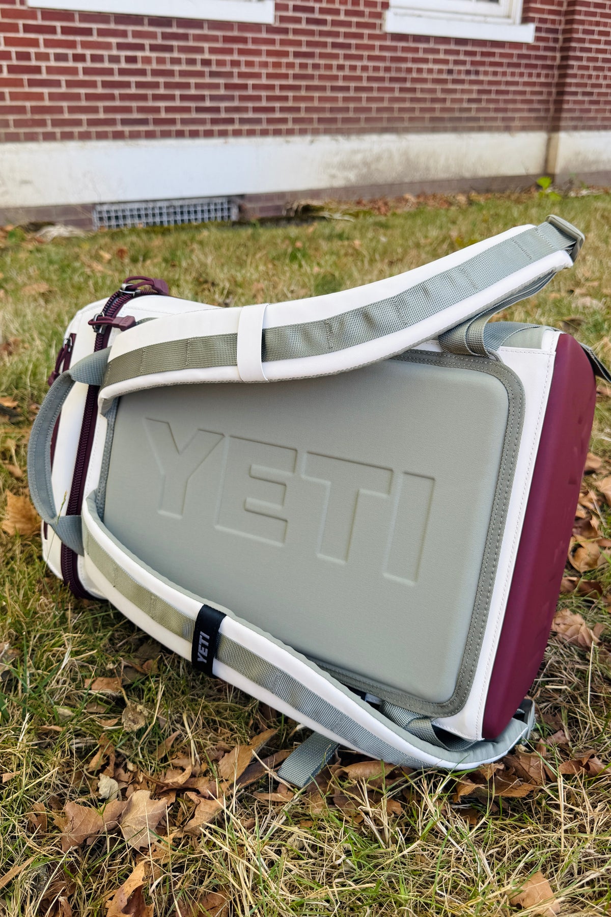 YETI Daytrip 20L Insulated Backpack - Aspen/Pampa/WDV