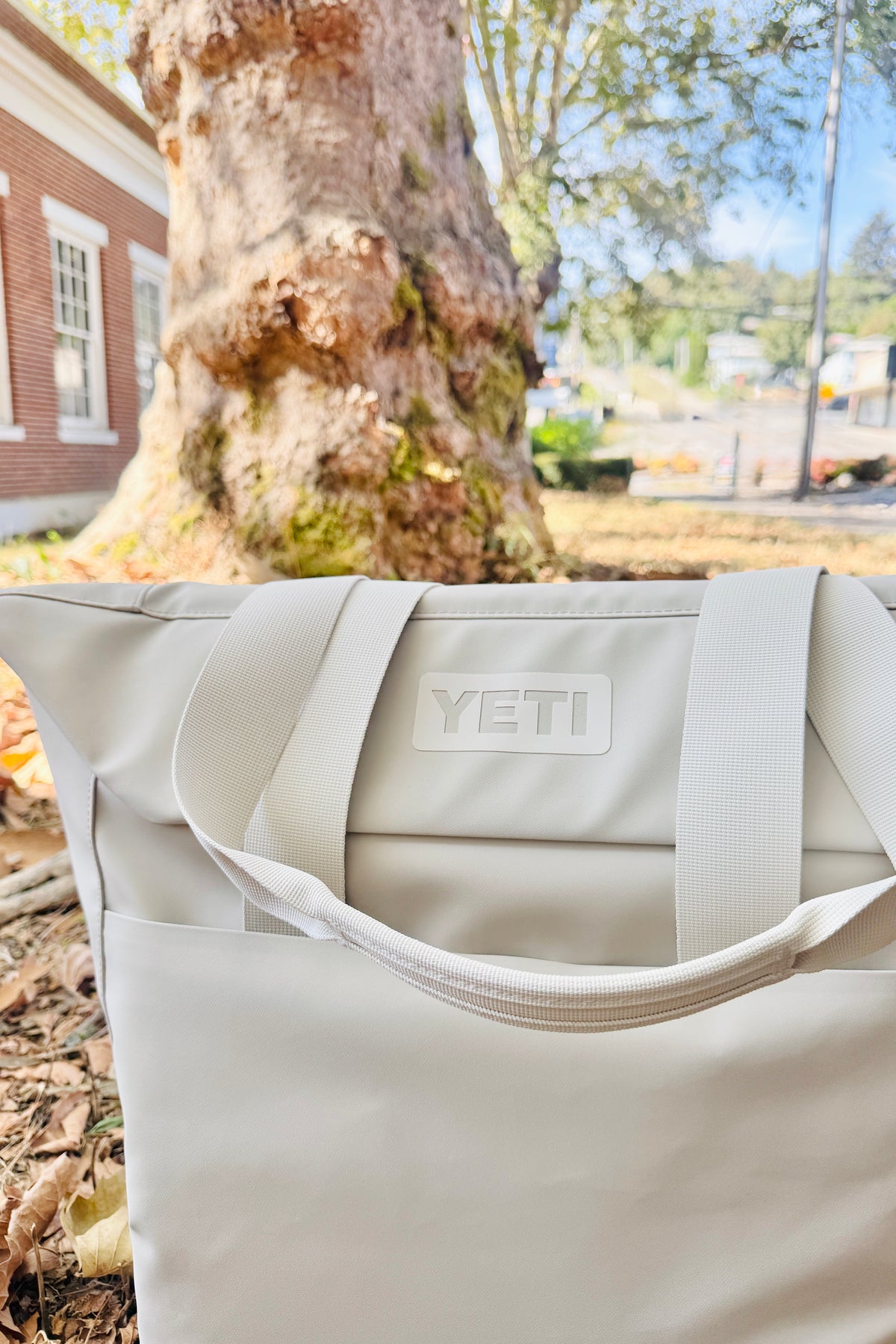 YETI Daytrip 20L Insulated Tote Bag - Cape Taupe
