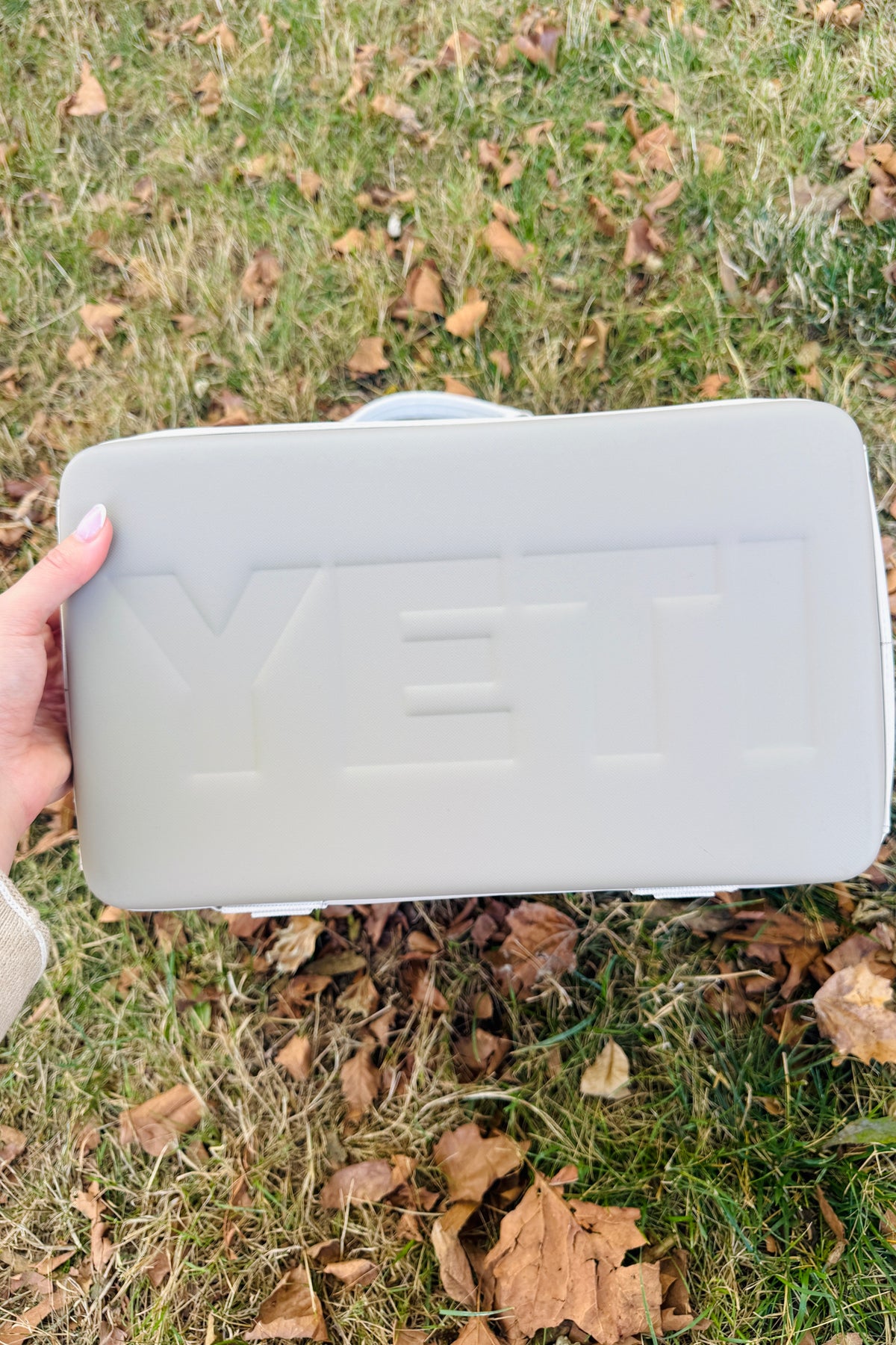 YETI Daytrip 20L Insulated Tote Bag - Cape Taupe