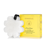 Spongelle - Body Buffer and Shower Wash - Arktana - Accessories